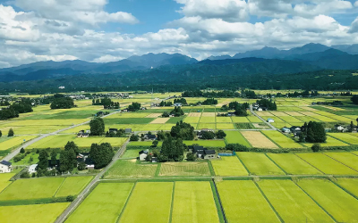 田園風景写真