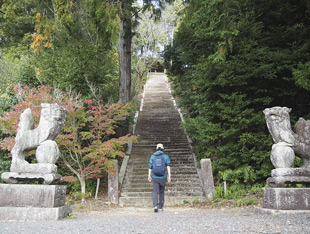神社の境内へ続く階段を登ろうとする男性