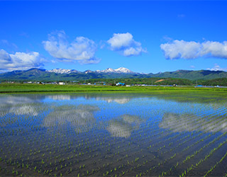 田植後の水田に映る残雪のピンネシリ