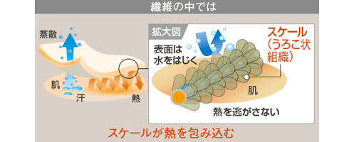 イメージ画像