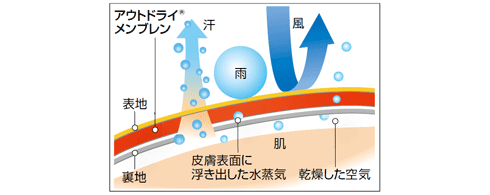イメージ画像