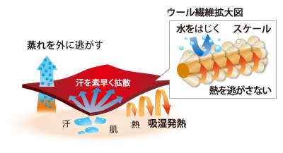 イメージ画像