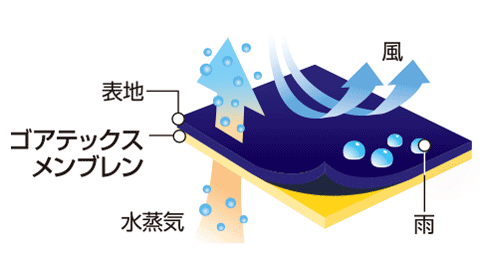 イメージ画像