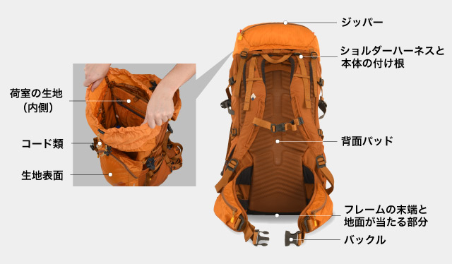 バックパックの背面と内部の写真